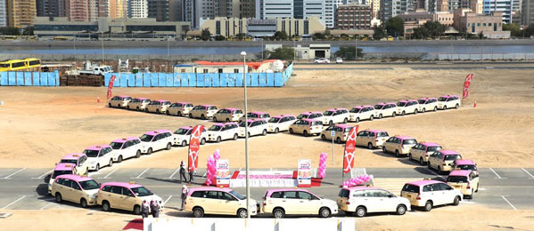 Pink Drive Campaign