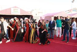 IMG 4629