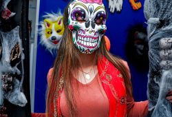 DSC03607